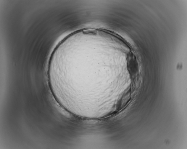 X0000096631248200802261157