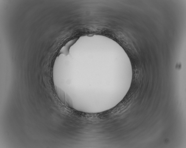 X0000096631249200802261156