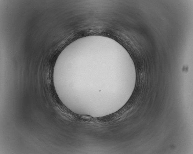 X0000096631250200802261156