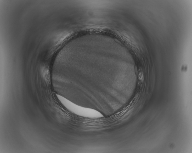 X0000096631252200802261156