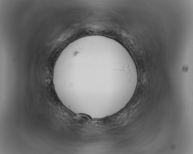 X0000096631253200802261156