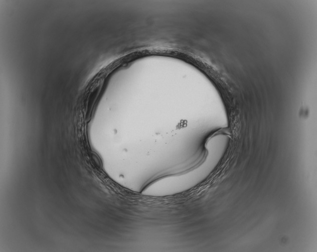X0000096631255200802261156