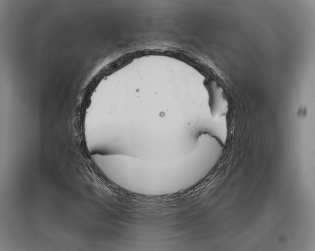 X0000096631256200802261156