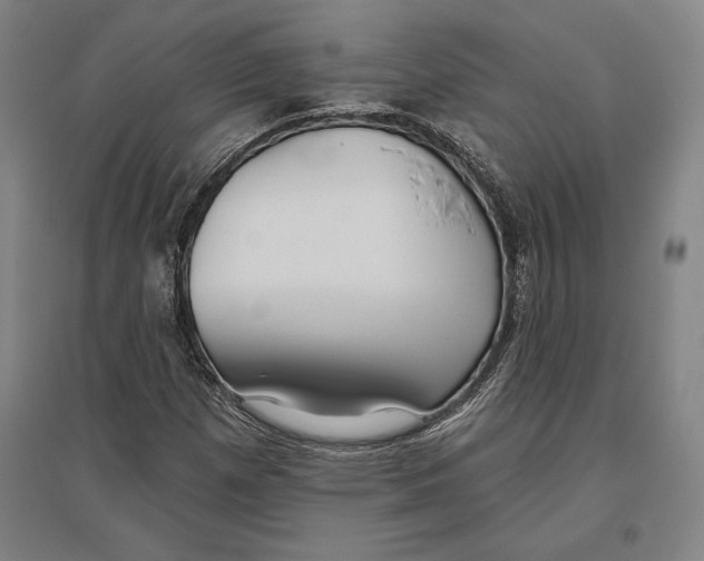 X0000096631257200802261156