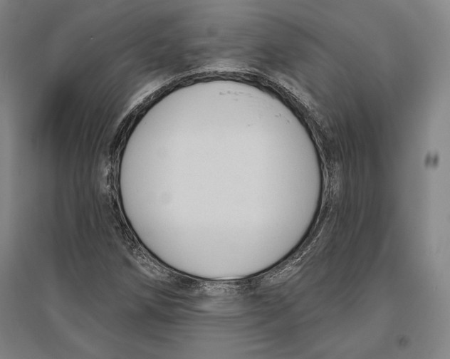 X0000096631258200802261156