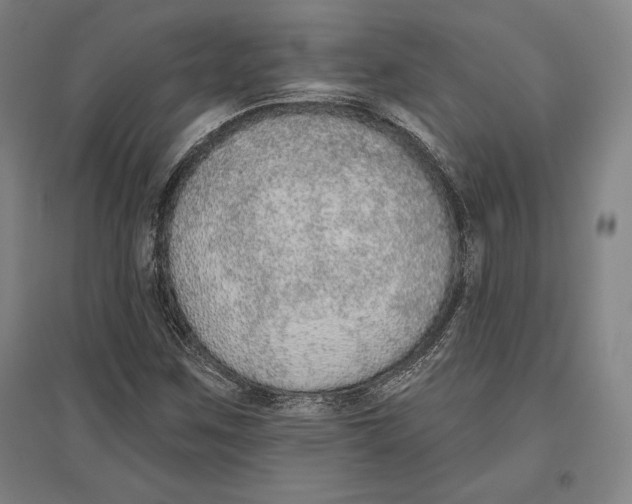 X0000096631259200802261156