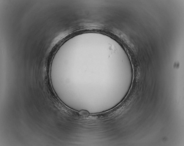 X0000096631261200802261156