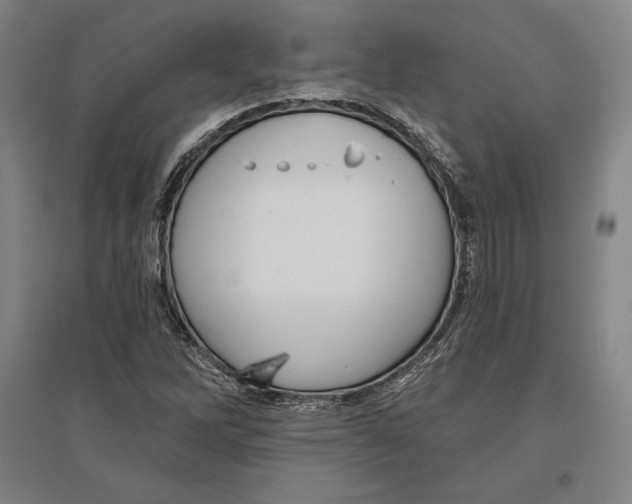 X0000096631262200802261156