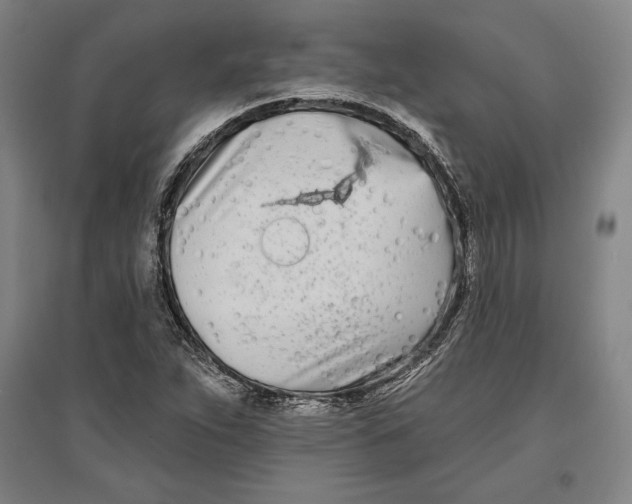 X0000096631263200802261156