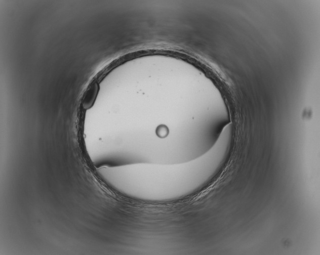 X0000096631264200802261156