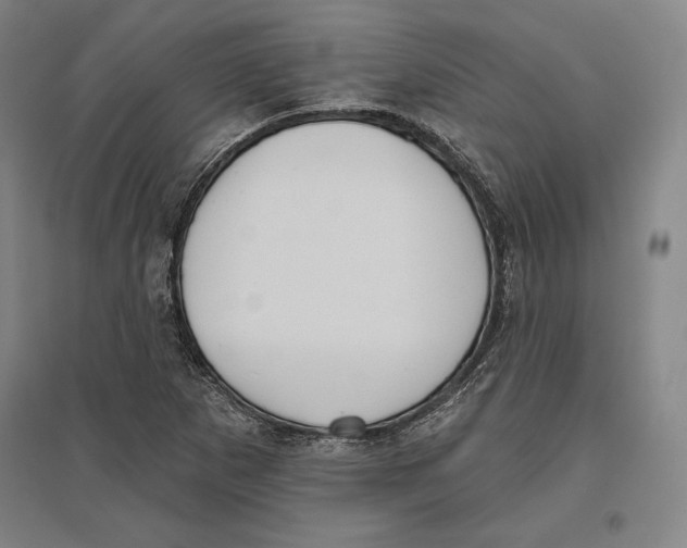 X0000096631265200802261156
