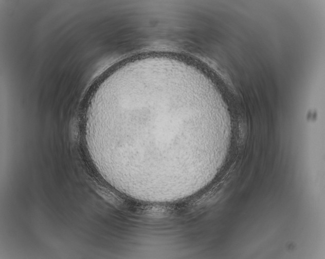 X0000096631266200802261156