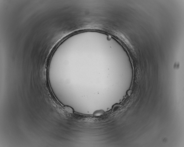 X0000096631268200802261156