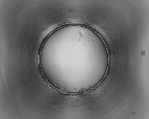 X0000096631269200802261156
