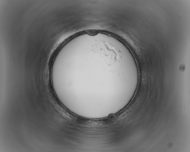 X0000096631270200802261156