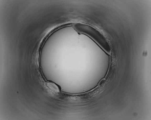 X0000096631272200802261156
