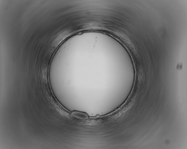 X0000096631273200802261156