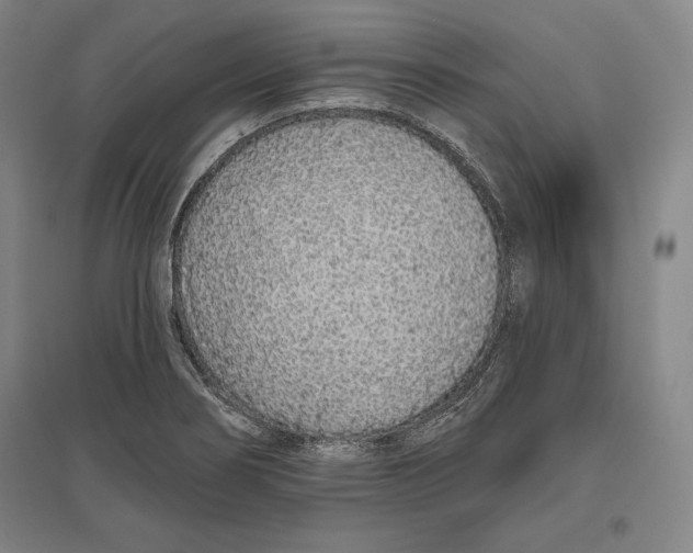 X0000096631274200802261156