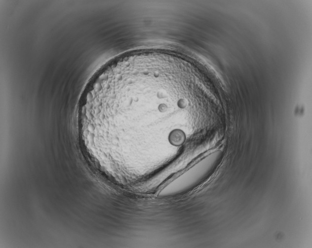 X0000096631275200802261156