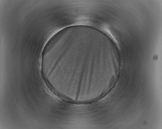 X0000096631276200802261156