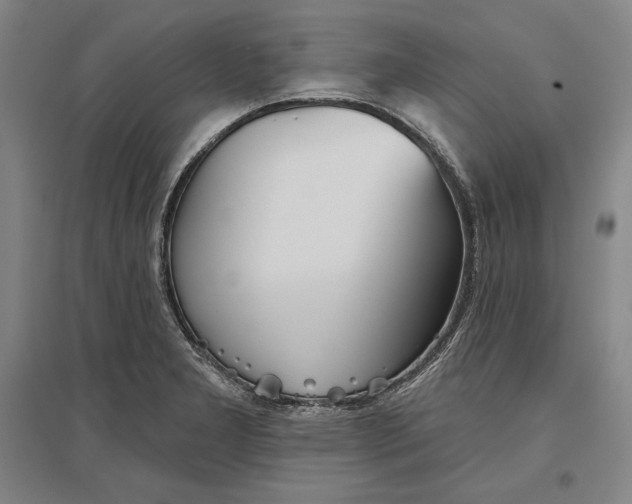 X0000096631277200802261156