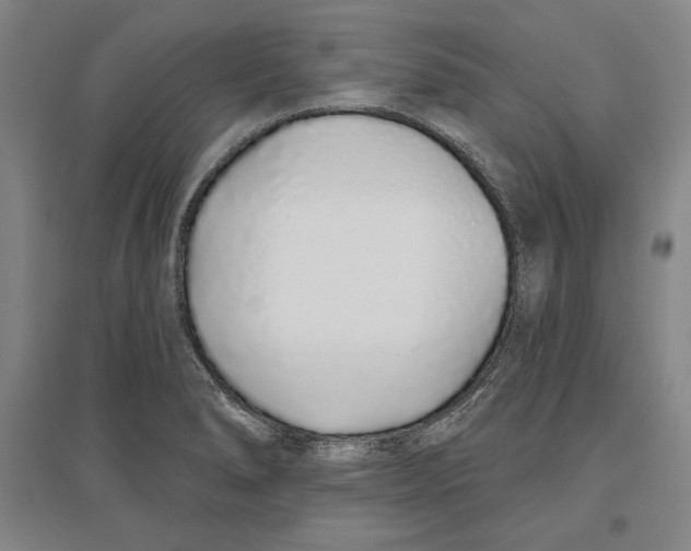 X0000096631278200802261156