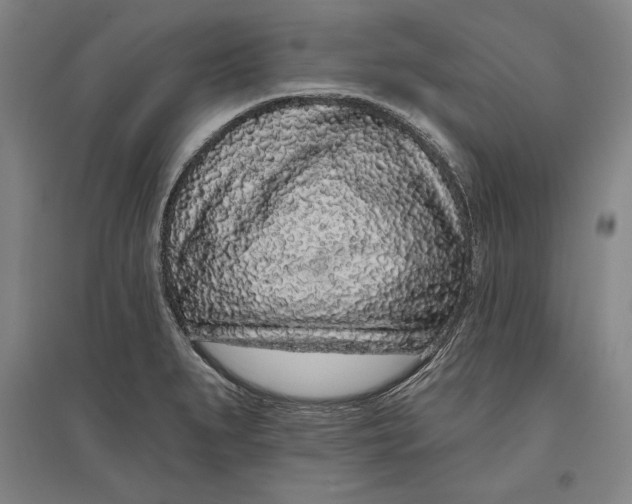 X0000096631279200802261156