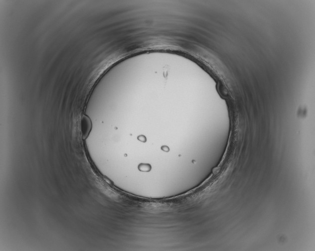 X0000096631281200802261156