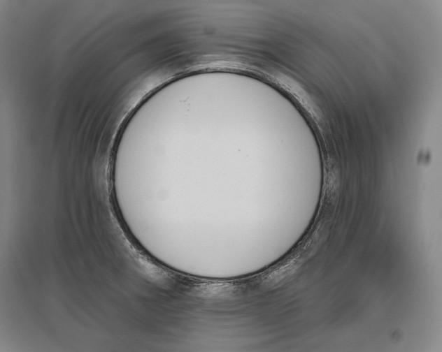 X0000096631282200802261156