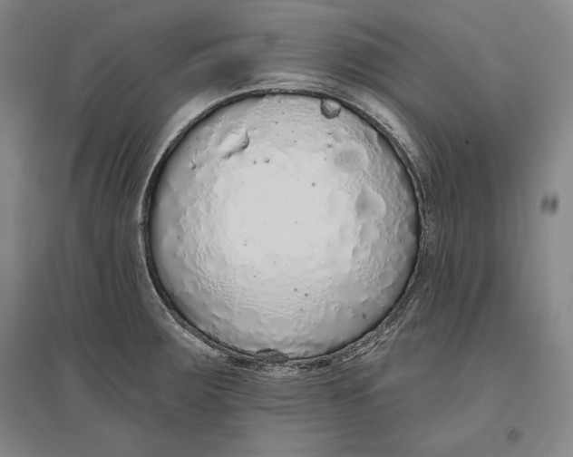 X0000096631283200802261156