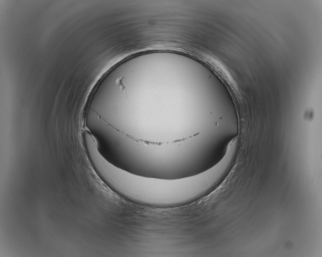 X0000096631284200802261156