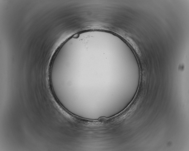 X0000096631285200802261156