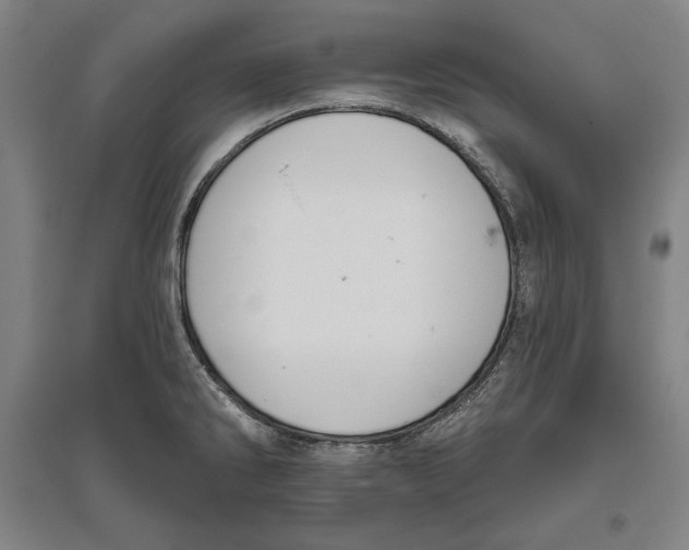 X0000096631286200802261156