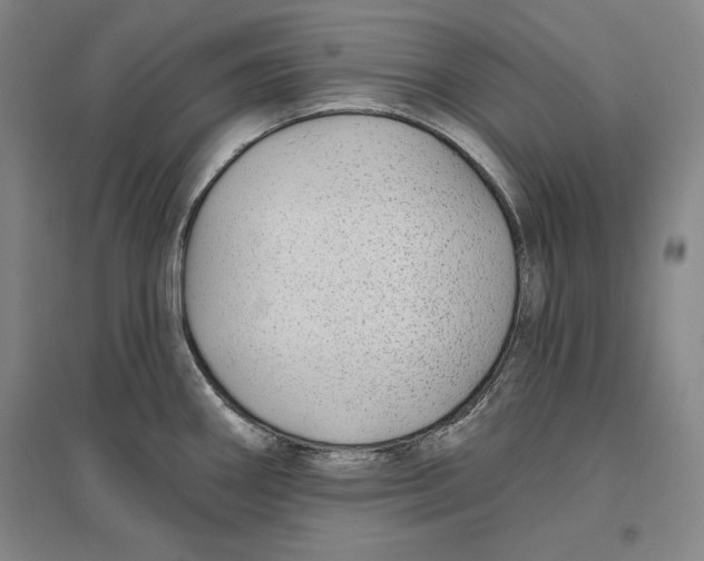 X0000096631290200802261156
