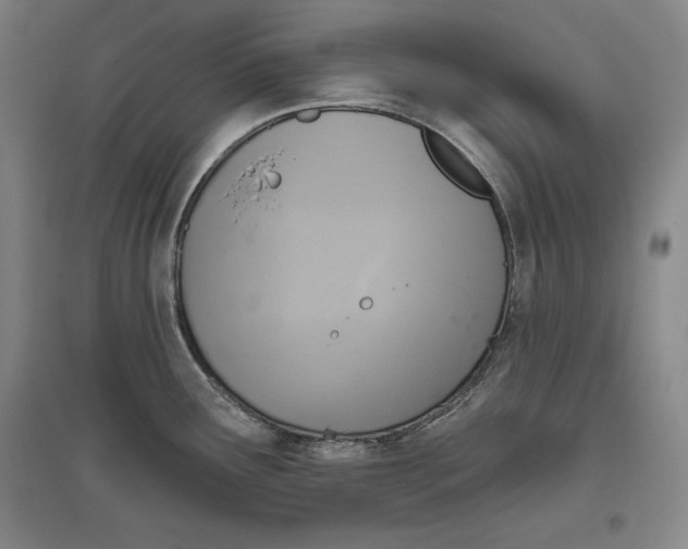 X0000096631291200802261156