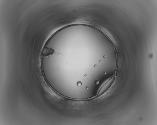X0000096631292200802261156