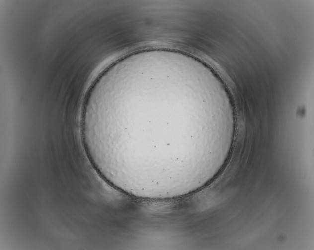 X0000096631294200802261156