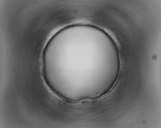 X0000096631295200802261155