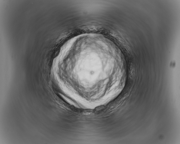 X0000096631297200802261155