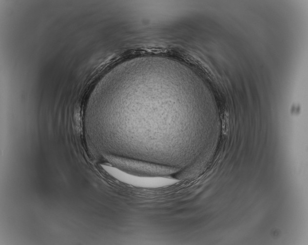 X0000096631298200802261155