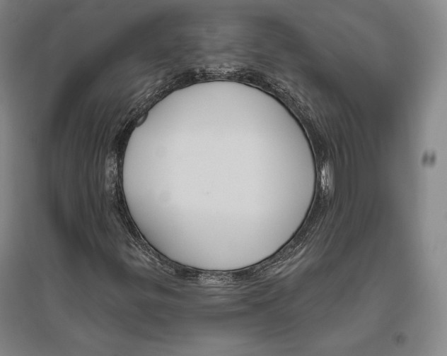 X0000096631299200802261155