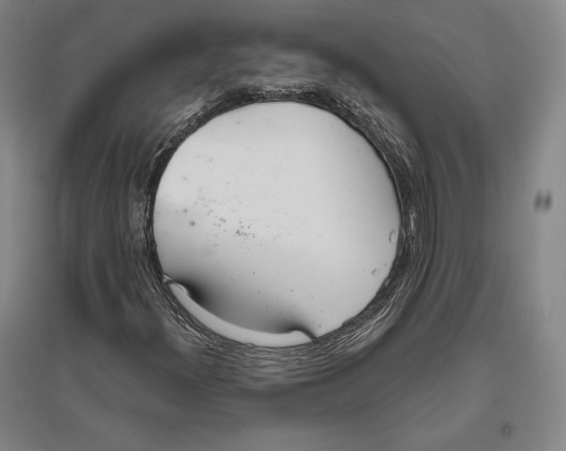 X0000096631300200802261155
