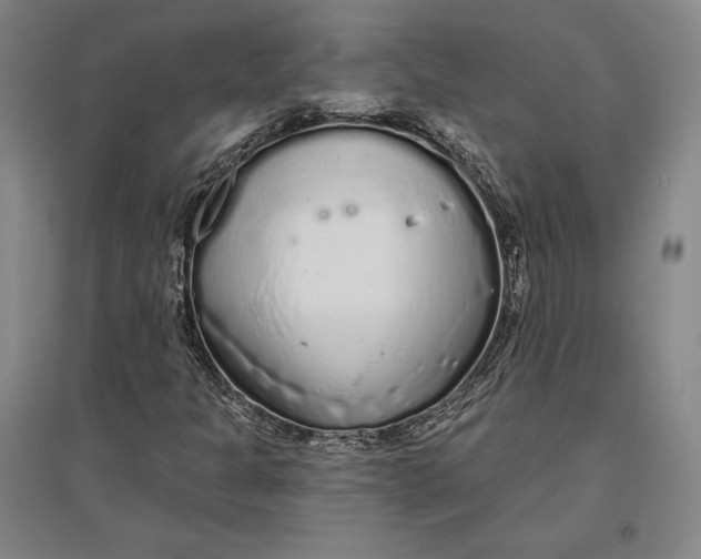 X0000096631301200802261155