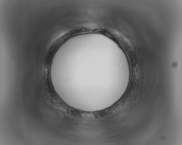 X0000096631302200802261155