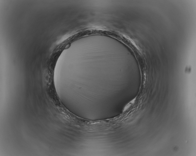 X0000096631303200802261155