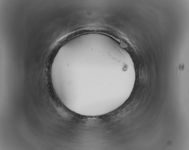 X0000096631304200802261155