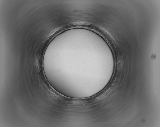 X0000096631305200802261155