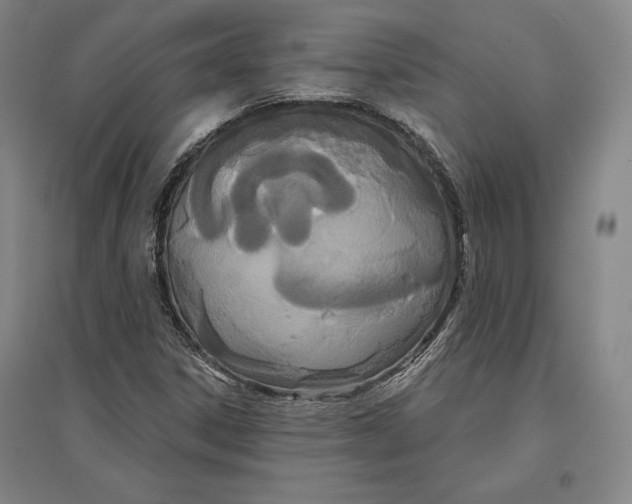 X0000096631306200802261155