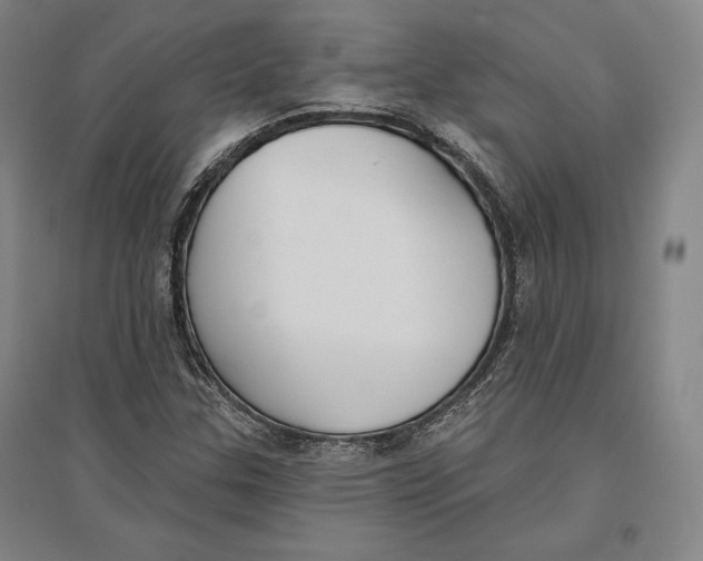 X0000096631307200802261155