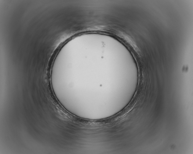 X0000096631308200802261155